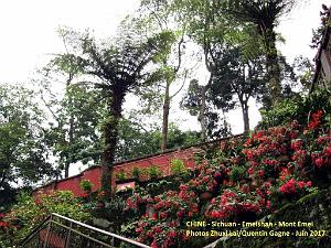 Emeishan 103